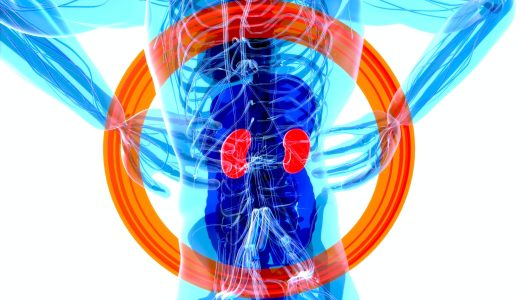 ファスティングの腎臓病へのアプローチ