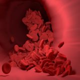 ファスティングの血栓症へのアプローチ